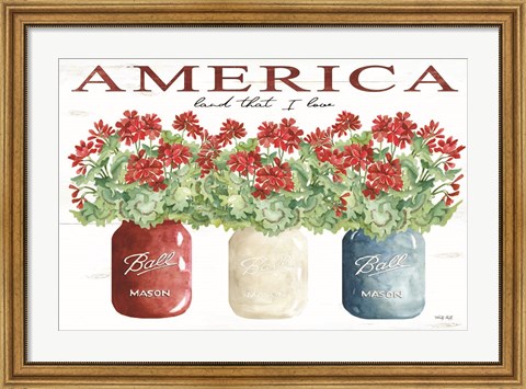 Framed America Glass Jars Print