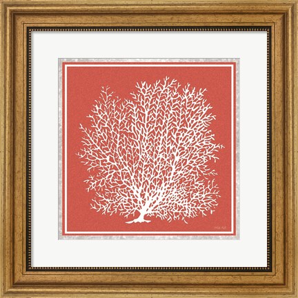 Framed Coastal Coral on Red II Print