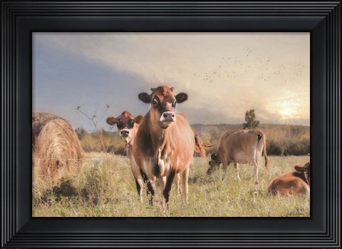 Framed Cow Photobomb Print
