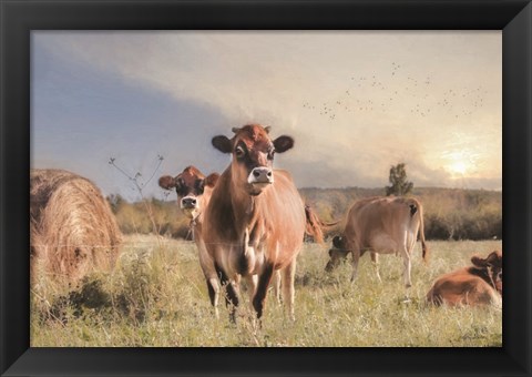 Framed Cow Photobomb Print