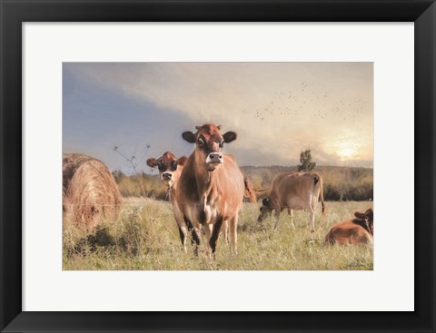 Framed Cow Photobomb Print