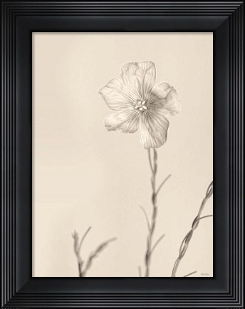 Framed Faded Flower III Print