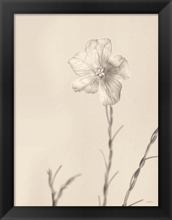 Framed Faded Flower III Print