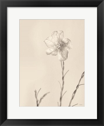 Framed Faded Flower III Print