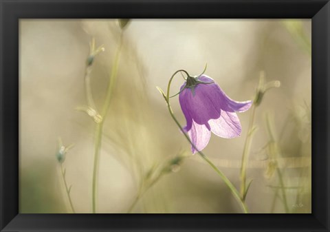 Framed Morning Light Print