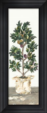 Framed Olive Tree Print