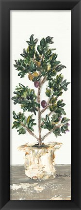 Framed Olive Tree Print