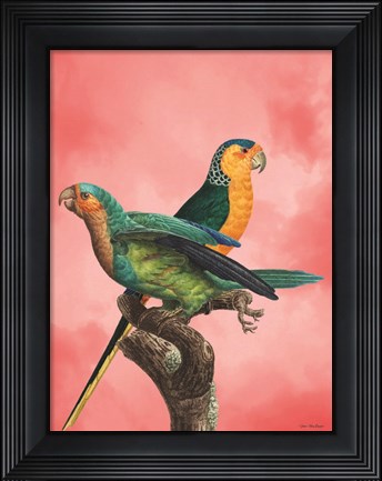 Framed Birds and the Pink Sky I Print