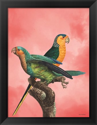 Framed Birds and the Pink Sky I Print