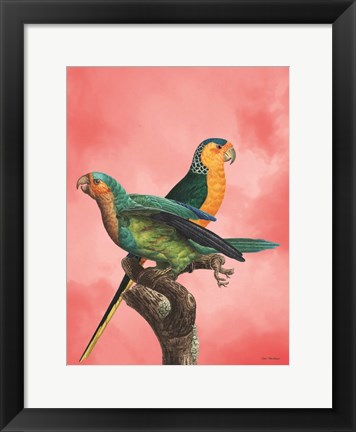 Framed Birds and the Pink Sky I Print