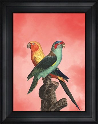 Framed Birds and the Pink Sky II Print