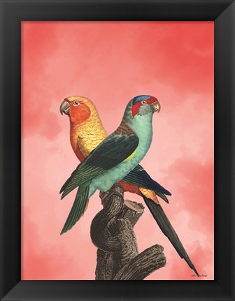 Framed Birds and the Pink Sky II Print