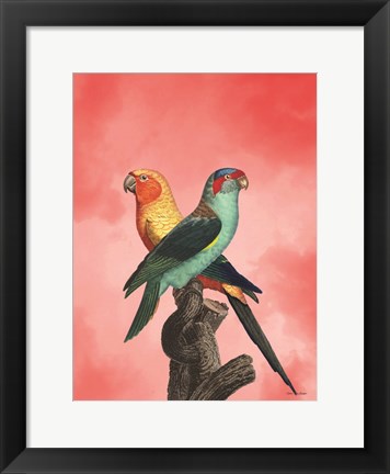 Framed Birds and the Pink Sky II Print