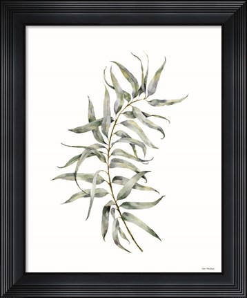 Framed Eucalyptus I Print