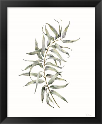 Framed Eucalyptus I Print