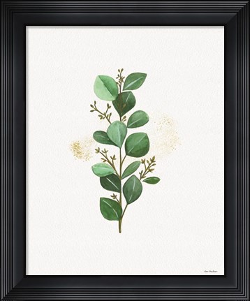 Framed Eucalyptus II Print