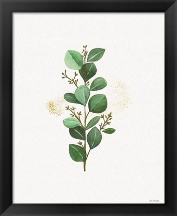 Framed Eucalyptus II Print