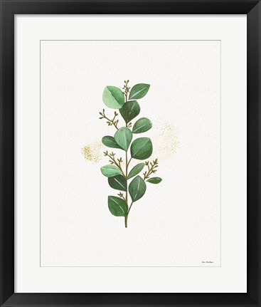 Framed Eucalyptus II Print