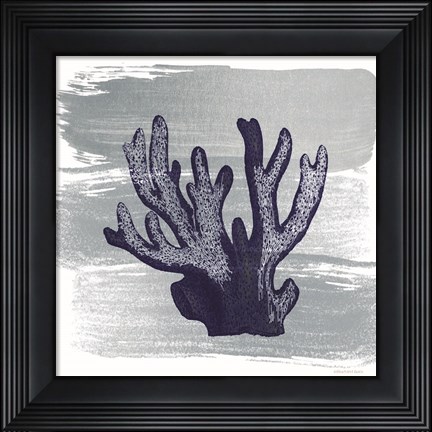 Framed Brushed Midnight Blue Elkhorn Coral Print