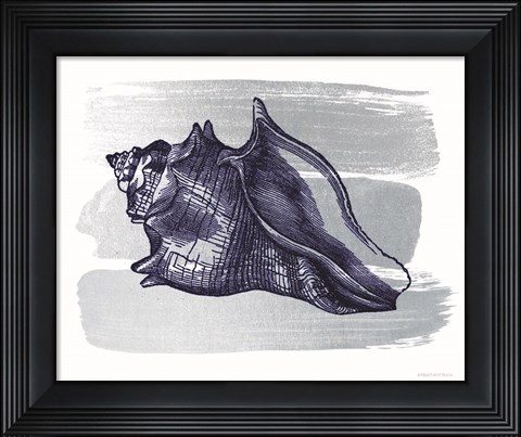 Framed Brushed Midnight Blue Seashell Print