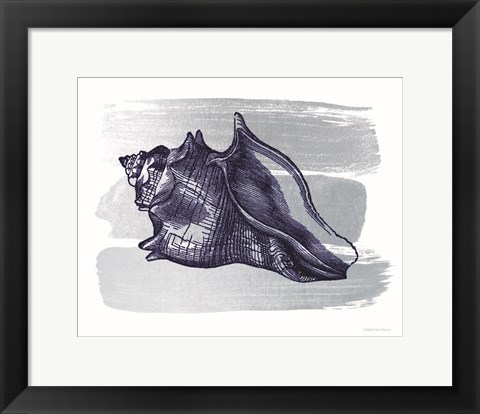 Framed Brushed Midnight Blue Seashell Print