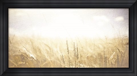 Framed Fields of Gold Print