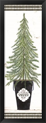 Framed Fir Tree Print