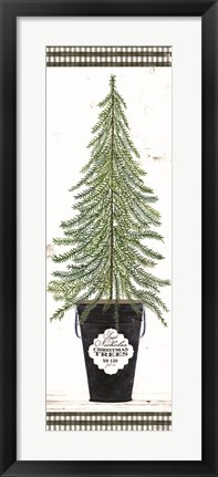 Framed Fir Tree Print