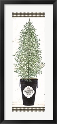 Framed Cedar Tree Print