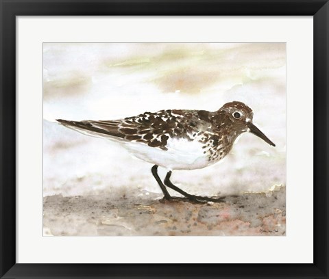Framed Sandpiper 1 Print
