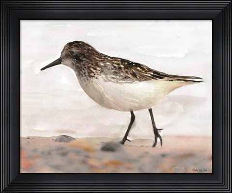 Framed Sandpiper 2 Print
