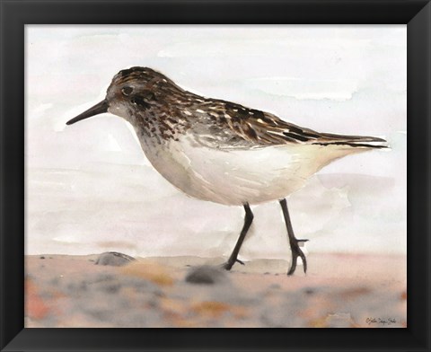 Framed Sandpiper 2 Print