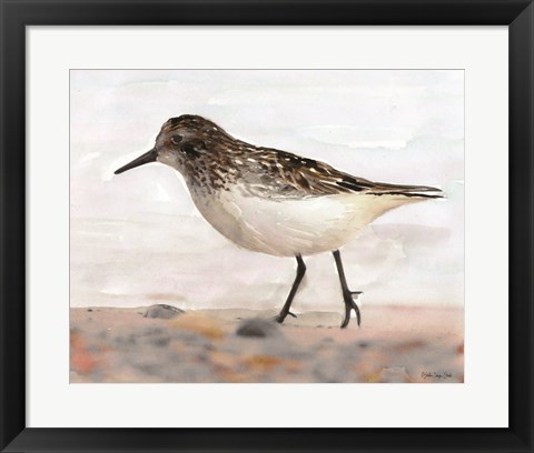 Framed Sandpiper 2 Print