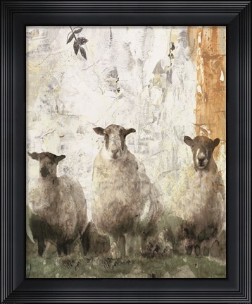 Framed Three Sheep Print