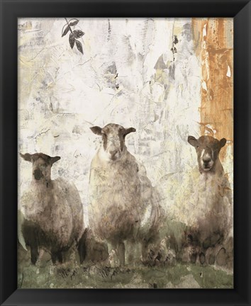 Framed Three Sheep Print