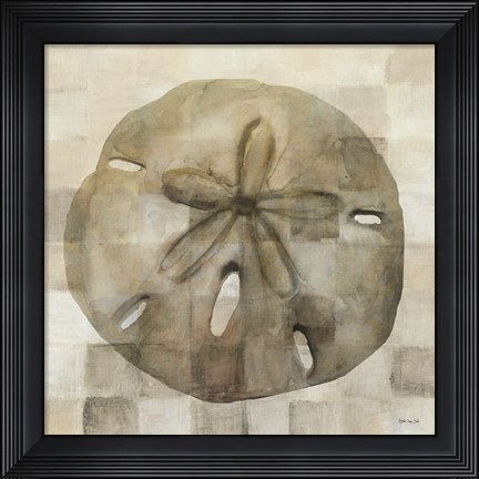 Framed Sand Dollar Print