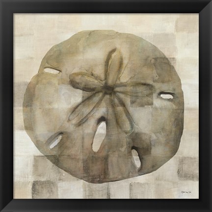 Framed Sand Dollar Print