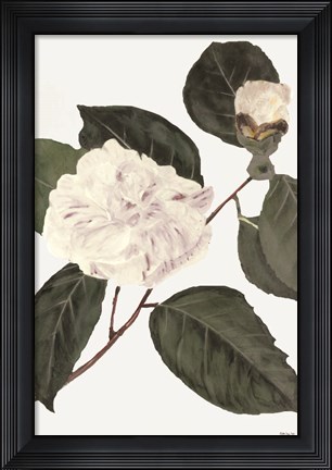 Framed White Botanical I Print