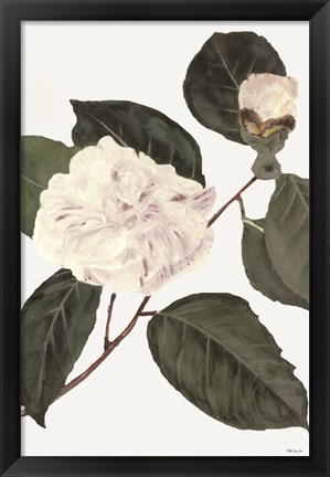 Framed White Botanical I Print