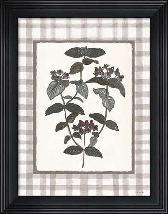 Framed Floral Medley 1 Print