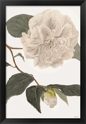 Framed White Botanical II Print