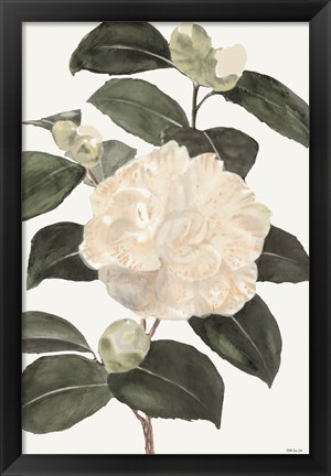 Framed White Botanical III Print