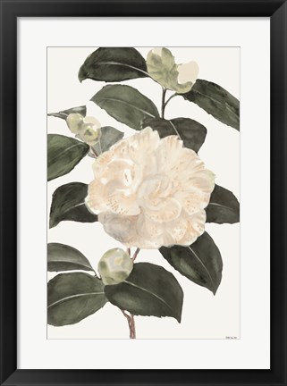 Framed White Botanical III Print