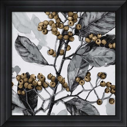 Framed Holly Shadow I Print