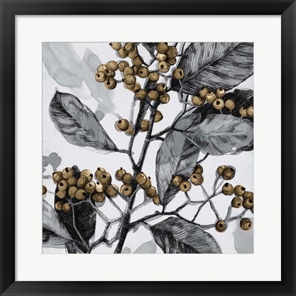 Framed Holly Shadow I Print