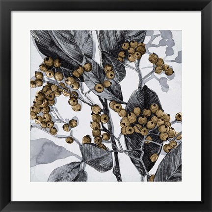 Framed Holly Shadow II Print