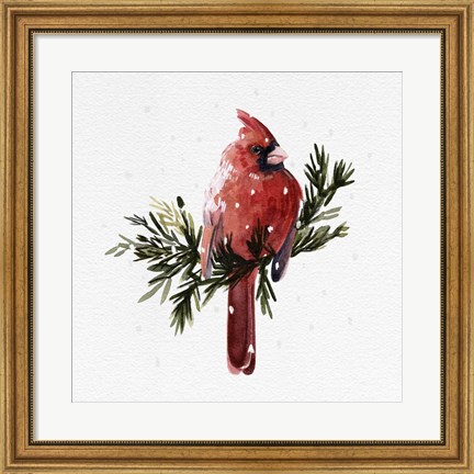 Framed Cardinal with Snow I Print