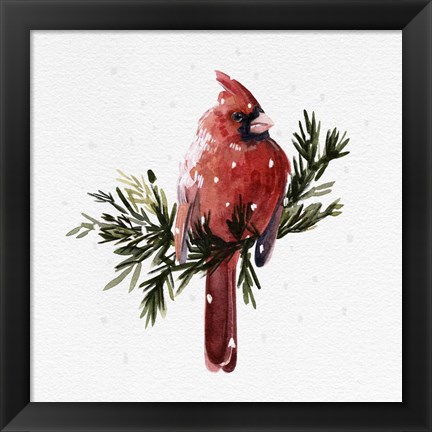 Framed Cardinal with Snow I Print