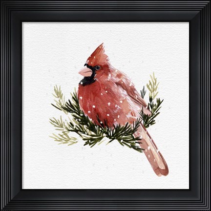 Framed Cardinal with Snow II Print
