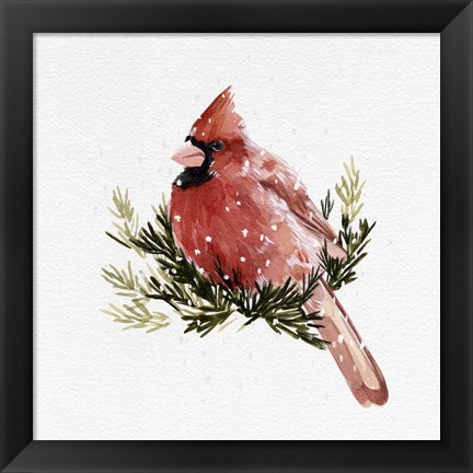 Framed Cardinal with Snow II Print